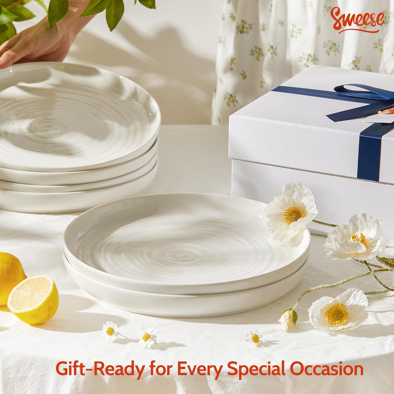 Porcelain Round Salad Plates, Set of 6