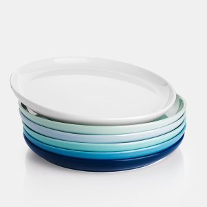 Blue Assorted Round Porcelain Plates